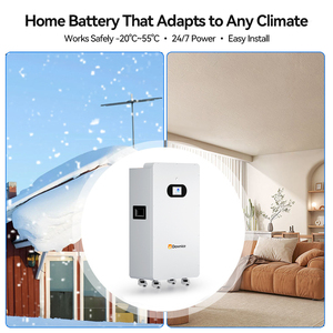 Batería de Litio Lifepo4 Dawnice de 51.2v 300ah, 15kwh 10kwh, Batería de Almacenamiento de Energía Doméstica Montada en Pared para Sistema Solar - Product Image 1