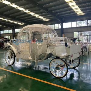 Nouvelle Conception d'Usine - Carrosse Citrouille de Style Européen en Acier Q235B, Modèle Électrique Surdimensionné Sur Mesure pour 10-12 Personnes - Product Image 4