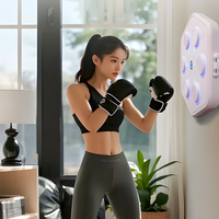 One Punch-Appareil de boxe pour adultes, sport, soulagement du stress, musique intelligente, avec gants de boxe