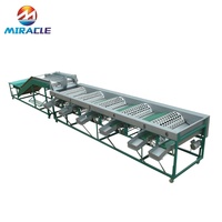 Chine fabrication Pommes de Terre niveleuse/forme Ronde légumes qualité trieuses végétale ligne de traitement