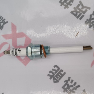 Électrode de détection d'allumage, sonde, connecteur d'électrode 10019728, détecteur pour STOCK - Product Image 6