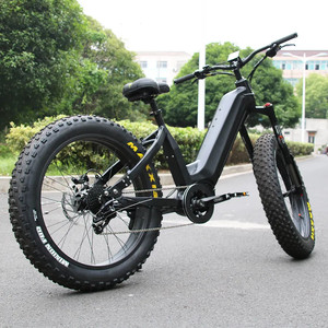 Bicicleta eléctrica de 26 pulgadas con batería de litio, 48V, 1000W, 30Ah o 50Ah - Product Image 2