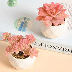 Piante Artificiali in Vaso di Plastica Serie <span class=keywords><strong>Rosa</strong></span>, Bonsai Succulente Artificiali, Decorazione Paesaggistica in Miniatura - Product Image 4
