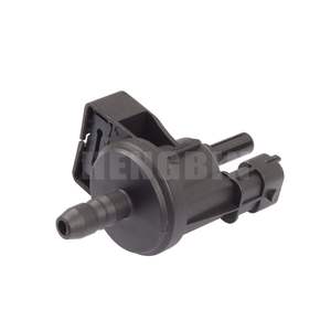 Soupape solénoïde de canister à charbon Pompe à carburant et pièces 55566387 0280142489 - Product Image 3