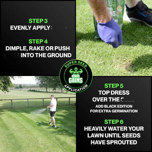 Gazon Premium à Croissance Rapide, Sachet de 1KG, Ryegrass Perennial/Fescue Rouge Grimpante, Traitement Headstart Gold pour Pots de Fleurs et Jardinières - Product Image 5