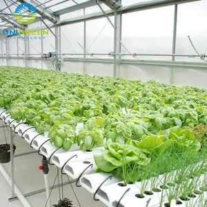 Nft Pipes Hydroponics Greenhouse Customized Length Food Grade PVC Pipe NFT Channel Hydroponic Growing System NFT Pipes Hydroponics