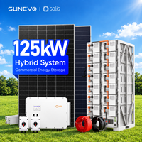 Sistem Penyimpanan Energi Surya Hibrida Solis 125kW 300kW 500kW Dengan Panel Surya Monokristalin 750W untuk Mikrogrid Industri