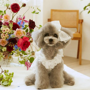 2025 Pet Verão Renda Princesa Saia Dog Cat Roupas Finas + Headwear - Product Image 5