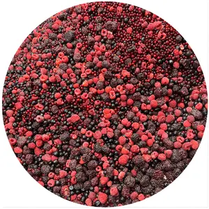 Best Quality Iqf Mixed Berry Whole Frozen Mixed Fruits Iqf Berry