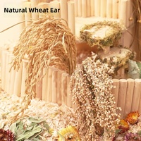 Friandises à mâcher naturelles en graine de millet et d'épi de blé pour hamsters et petits animaux, décoration de cage, fleurs séchées, graines de lin, vente en gros