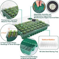 6 pièces 240 plateau de culture de plantes cellulaires avec dôme à couvercle surélevé transparent pour semis d'intérieur serre pépinière Pot plateau de démarrage de graines