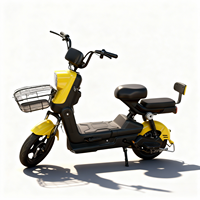 Vélo électrique standard à deux places, batterie au plomb-acide 48V, vélo de ville pour trajets quotidiens avec panier de chargement avant