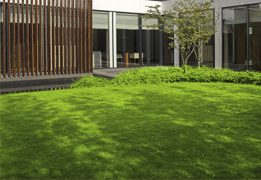 25mm Landscaping Around Putting Green 9000d Fake Landscape Grass 3/8 Gauge Cheaper Price