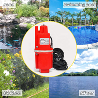 Hot Sale Farm Low Power Tauch-Mini Smart Clean Water Well Pumping Russische Taucher-Vibrations pumpe
