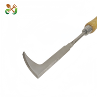 Outil de désherbage pour jardinage, désherbeur multifonctionnel pour cour et jardin, coupe-herbe pour les crevasses et les espaces entre les pierres