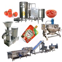 Grande ligne de production industrielle de pâte de tomate Mini usine complète de traitement de pâte de tomate concentrée industrielle