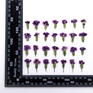 Bijoux en résine <span class=keywords><strong>rose</strong></span> arc-en-ciel avec pétales de fleurs naturelles pressées, écologiques - Product Image 4