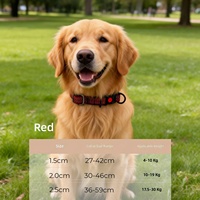 Collier Moderne Rayé 100% Nylon pour Chiens et Chats - Conception Détachable Durable et Réglable, Léger, Respirant, Décoratif et Réfléchissant