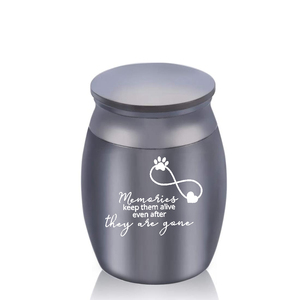 Infinity Symbol urne per cremazione Pet Keepsake urna commemorativa per ceneri umane-i ricordi li mantengono in vita anche dopo che sono andati - Product Image 3