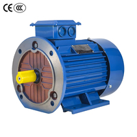 Moteur asynchrone AC haute puissance 380V 50/60Hz, efficacité IE2-IE4, protection IP54/IP55, 0,55KW, modèle YE3, triphasé électrique