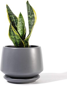Petits pots en céramique pour <span class=keywords><strong>cactus</strong></span> d'intérieur, design carton, finition émaillée, pour plantes succulentes, à suspendre ou à poser au sol, décoration intérieure, bienvenue - Product Image 6