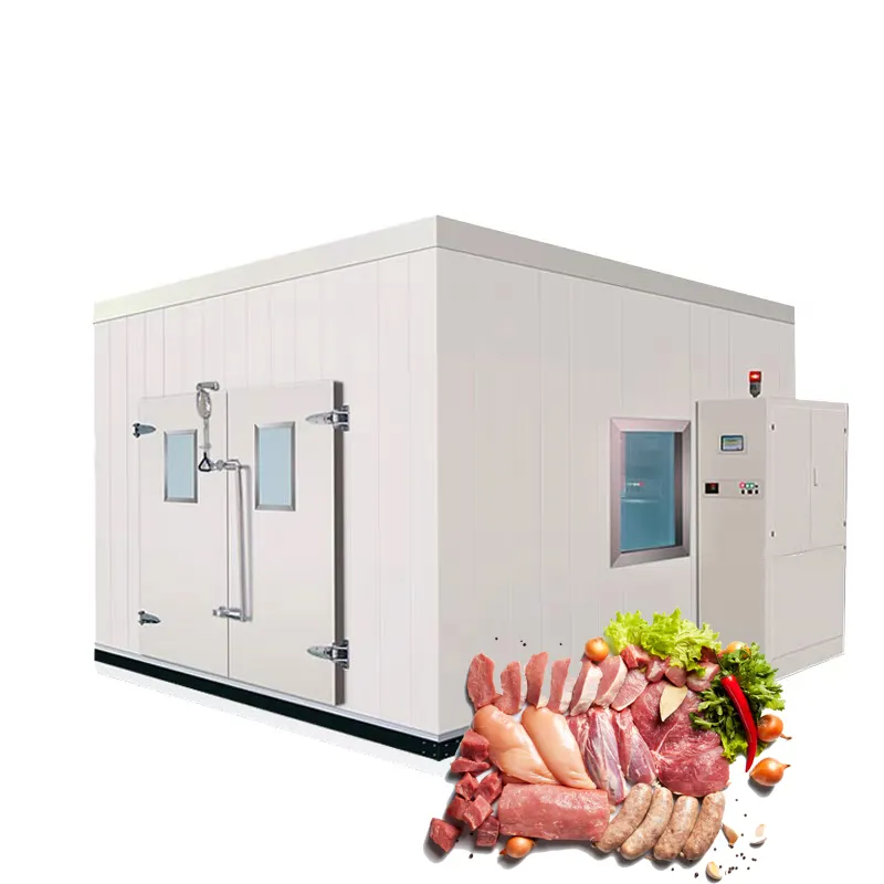 Nouveau compresseur Bitzer de stockage de chambre froide Portable à double affichage de température pour un usage domestique pour le stockage de fruits et légumes de lait pour