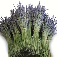 Buket Lavender Kering Buatan Tangan Buket Bunga Kering Pewangi Alami untuk Rumah Dekorasi Rumah Bunga Kering Bunga Awet
