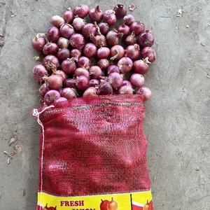 Exportador de Cebolla Blanca Fresca en China, Venta al por Mayor a Precio Económico, Exportación de <span class=keywords><strong>Verduras</strong></span> de Cebolla Fresca a la República Democrática <span class=keywords><strong>del</strong></span> Congo desde China - Product Image 2