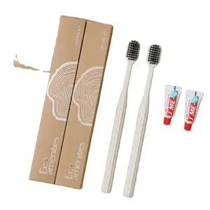 Kit dental escovas de dentes de palha ecológicas com pastas, conjunto de produtos e acessórios para comodidades de hotel