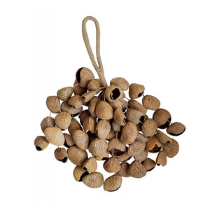 Agitador de mano, agitador de cáscara de semilla Pangi/<span class=keywords><strong>percusión</strong></span> de cáscara de nuez, sonajero tradicional auténtico (natural) - Product Image 6