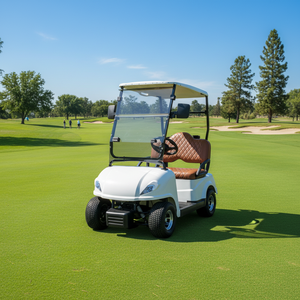 Carrito <span class=keywords><strong>de</strong></span> Golf <span class=keywords><strong>de</strong></span> Alta Calidad con Batería <span class=keywords><strong>de</strong></span> Litio y Aluminio para Dos Personas, 2 Asientos, Scooter <span class=keywords><strong>de</strong></span> Movilidad Profesional - Product Image 4