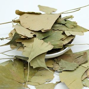 Toptan Saf Doğal Büyük Stok Kurutulmuş <span class=keywords><strong>Ginkgo</strong></span> <span class=keywords><strong>Biloba</strong></span> Yaprakları Sağlıklı Bitki Çayı - Product Image 6