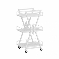 Chariot de rangement professionnel 3 niveaux en acier inoxydable, nouveau design, pour salon de beauté, pédicure, spa, onglerie, salle de bain, maison, bureau