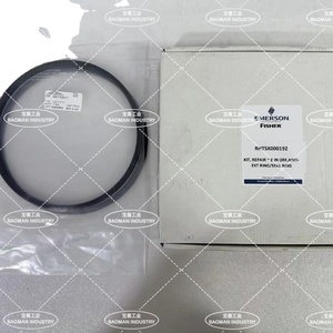 Kits de réparation Emerson Fisher RHTSX000192 8 pouces ORF, Anneau anti-extension, Anneau d'étanchéité N° de pièce 480153577 - Product Image 2