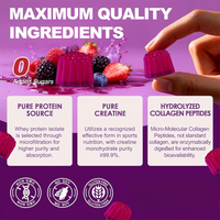 Suplemento de Gomitas Veganas Pre-Entrenamiento Sin Azúcar de Marca Privada OEM, 12G de Proteína de Suero, con Creatina y Colágeno para la Fuerza Muscular