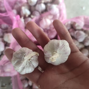 <span class=keywords><strong>Vendita</strong></span> calda della fabbrica 3.0-4.5cm normale bianco fresco aglio bulbi alla rinfusa per la <span class=keywords><strong>vendita</strong></span> di esportazione in Congo - Product Image 1