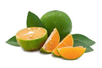 Natuurlijke Sleutel Limoenpoeder Van Vers Fruit Voor Het Bakken En Koken Van Dranken 100% Geen Leverancier Van Additieven