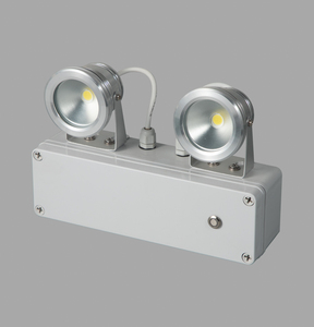 热卖IP65亮流明可充电应急灯，带双点 - Product Image 1