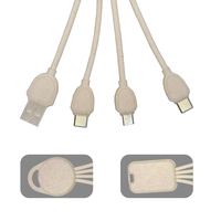Gadgets uniques Câble de charge USB bio dégradable 3 en 1 Modèle ECO Paille de blé Câble de charge écologique 3 en 1 avec porte-clés