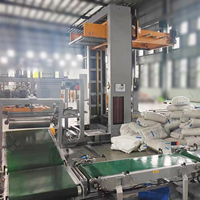 Palettiseur de boîtes de sacs de riz entièrement automatique Machine à emballer pour usine de fabrication d'aliments Nouveau pour canettes Palettiseur automatique