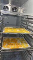 Commerciële energiezuinige warmtepompdroger voor het drogen van fruit, kruiden, vlees en zeevruchten