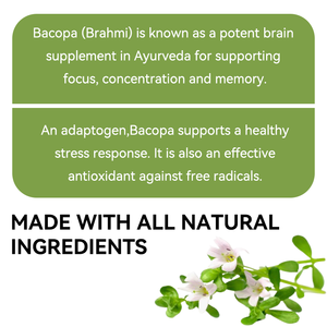 LIFEWORTH Organic <span class=keywords><strong>Bacopa</strong></span> Monnieri <span class=keywords><strong>Herbal</strong></span> <span class=keywords><strong>Extract</strong></span> Supplement Oral Liquid Cognitive Health Support for Adults - Product Image 3