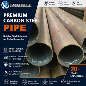ท่อเหล็กคาร์บอน A333 Gr.6 SAE 1020 เคลือบ FBE ขนาด 48.3 มม. 16 มม. Sch10 EN 10216-1 สำหรับท่อส่งน้ำมันและก๊าซ - Product Image 1