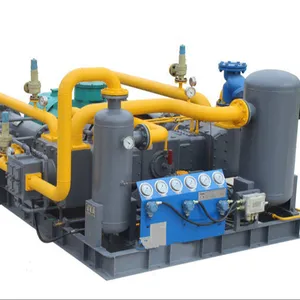 Reciprocating Natural Gas Compressor CNG Station Booster Piston Compressor for Sale