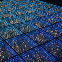Dalles LED Monochromes Personnalisées Effet Abysse Étoilé pour Piste de Danse Nuit Étoilée, Idéales pour Scène de Concert, 20kg