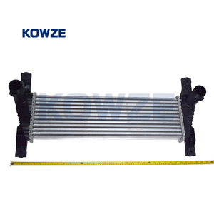 Refroidisseur intermédiaire de moteur de pièces automobiles pour Ford Ranger 2012- 5271339 - Product Image 6