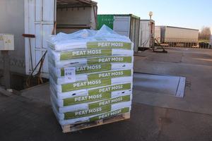 Treset mov, mousse, lumut gambut, tatvam meas, haziz tal-pit - SOLVIKA - Product Image 2