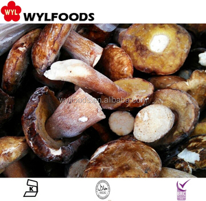 Boletus <span class=keywords><strong>Edulis</strong></span> Orgánico de Alta Calidad, Entero, de Origen Silvestre, Delicia Culinaria, IQF Congelado - Product Image 3