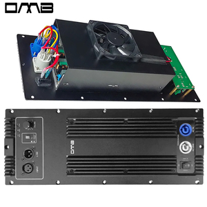 Mô-đun loa siêu trầm PDA1001+PRE 2025, sản phẩm phổ biến, công suất 1000W, tích hợp amply toàn dải cho loa chủ động - Product Image 1