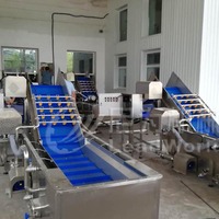 Machine industrielle de lavage de légumes et fruits frais, dattes séchées, état neuf, composants moteur principaux, séchage pour la transformation alimentaire